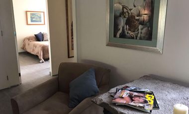 Precioso Departamento Residencial Amueblado en Polanco  175m2