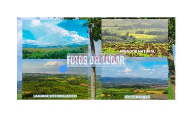 Venta De Lotes En Rentable Y Fascinante Proyecto En Condominio Turistico Con Enfoque En Naturaleza, Wellness Y Glamping En Tarapoto Con Alto Potencial