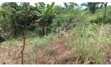 VENDO TERRENO EN CHILIBRE $170,000 #182