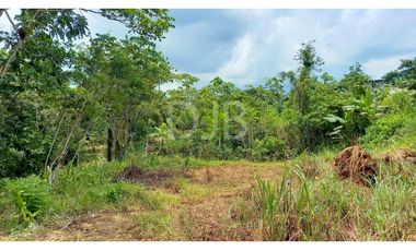 VENDO TERRENO EN CHILIBRE $170,000 #182