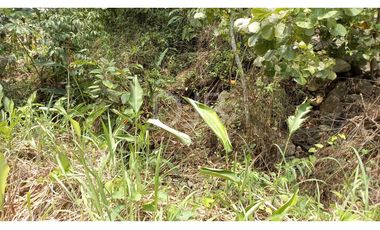 VENDO TERRENO EN CHILIBRE $170,000 #182