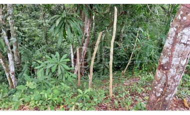 VENDO TERRENO EN CHILIBRE $170,000 #182
