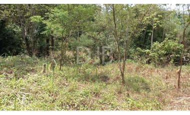 VENDO TERRENO EN CHILIBRE $170,000 #182