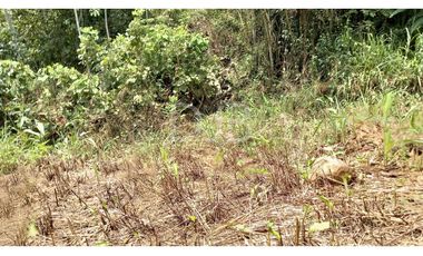 VENDO TERRENO EN CHILIBRE $170,000 #182
