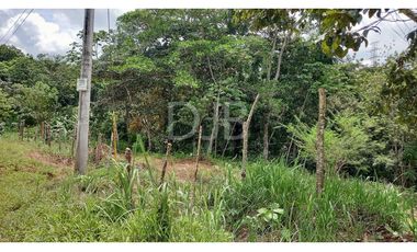 VENDO TERRENO EN CHILIBRE $170,000 #182