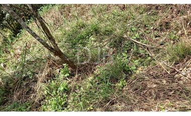 VENDO TERRENO EN CHILIBRE $170,000 #182