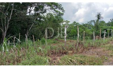 VENDO TERRENO EN CHILIBRE $170,000 #182