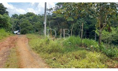 VENDO TERRENO EN CHILIBRE $170,000 #182