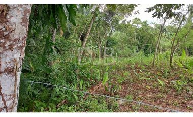 VENDO TERRENO EN CHILIBRE $170,000 #182