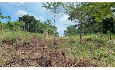 VENDO TERRENO EN CHILIBRE $170,000 #182
