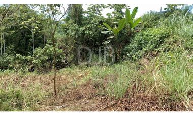 VENDO TERRENO EN CHILIBRE $170,000 #182