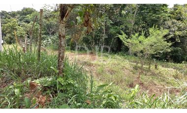 VENDO TERRENO EN CHILIBRE $170,000 #182