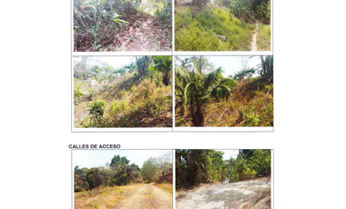 VENDO TERRENO EN CHILIBRE $170,000 #182