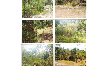 VENDO TERRENO EN CHILIBRE $170,000 #182