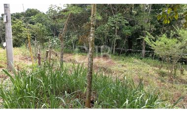 VENDO TERRENO EN CHILIBRE $170,000 #182