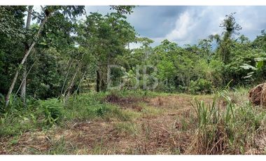VENDO TERRENO EN CHILIBRE $170,000 #182