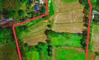 3 Hectares Lot for Sale in Lambakin, San Miguel Bulacan