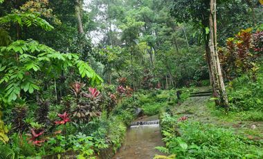 Dijual Villa Tenang dan Asri di Gunung Geulis, Megamendung Bogor