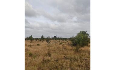 GRAN OPORTUNIDAD!!! PARCELA DE 15.000M2 EN QUEMCHI, CHILOE