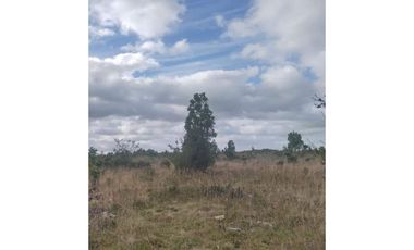 GRAN OPORTUNIDAD!!! PARCELA DE 15.000M2 EN QUEMCHI, CHILOE