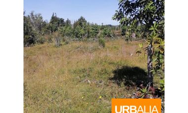 GRAN OPORTUNIDAD!!! PARCELA DE 15.000M2 EN QUEMCHI, CHILOE