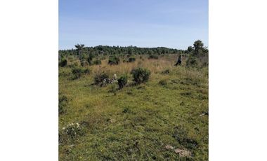 GRAN OPORTUNIDAD!!! PARCELA DE 15.000M2 EN QUEMCHI, CHILOE