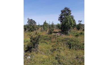 GRAN OPORTUNIDAD!!! PARCELA DE 15.000M2 EN QUEMCHI, CHILOE