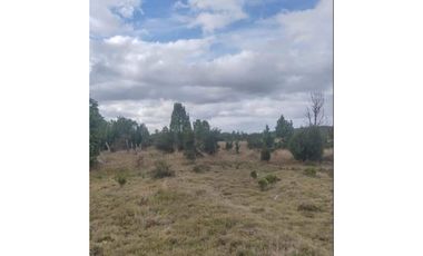 GRAN OPORTUNIDAD!!! PARCELA DE 15.000M2 EN QUEMCHI, CHILOE