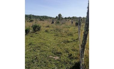 GRAN OPORTUNIDAD!!! PARCELA DE 15.000M2 EN QUEMCHI, CHILOE