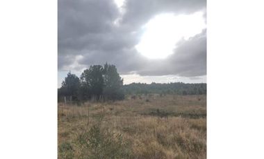 GRAN OPORTUNIDAD!!! PARCELA DE 15.000M2 EN QUEMCHI, CHILOE