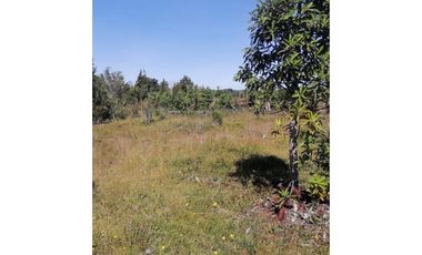 GRAN OPORTUNIDAD!!! PARCELA DE 15.000M2 EN QUEMCHI, CHILOE