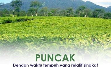 Villa 1 Lantai Baru di Puncak Cugenang Cianjur Harga Perdana 325Jt