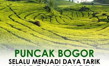 Villa 1 Lantai Baru di Puncak Cugenang Cianjur Harga Perdana 325Jt