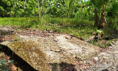 Rumah minimalis 200jutaan dekat Kopi Ampirono