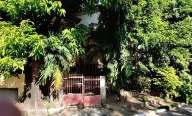 House and Lot in Las Piñas For Sale (PL#13341)