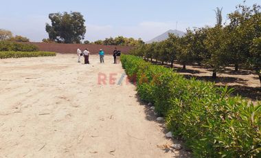 Huaral - Residencial Los Naranjos  Terrenos Para Casa De Campo.