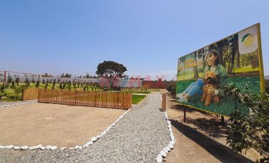 Huaral - Residencial Los Naranjos  Terrenos Para Casa De Campo.