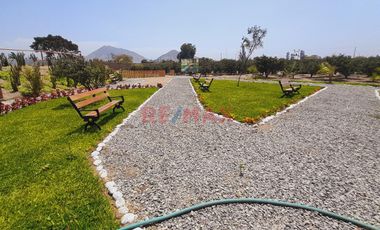 Huaral - Residencial Los Naranjos  Terrenos Para Casa De Campo.