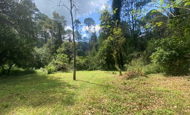 TERRENO EN VENTA CIRCUITO AVANDARO