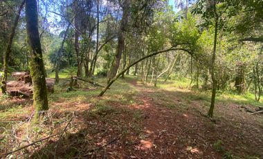 TERRENO EN VENTA CIRCUITO AVANDARO