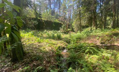 TERRENO EN VENTA CIRCUITO AVANDARO