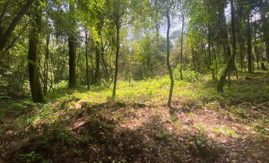 TERRENO EN VENTA CIRCUITO AVANDARO