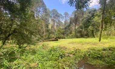TERRENO EN VENTA CIRCUITO AVANDARO