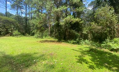 TERRENO EN VENTA CIRCUITO AVANDARO