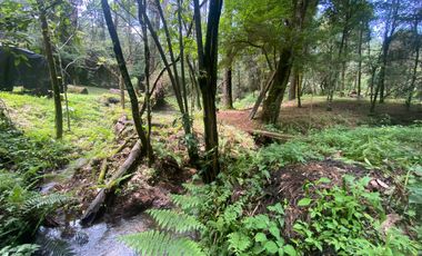 TERRENO EN VENTA CIRCUITO AVANDARO