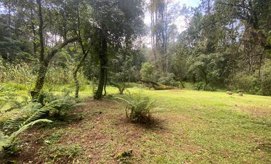 TERRENO EN VENTA CIRCUITO AVANDARO
