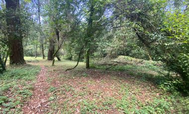 TERRENO EN VENTA CIRCUITO AVANDARO