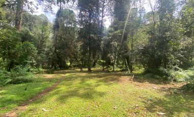 TERRENO EN VENTA CIRCUITO AVANDARO