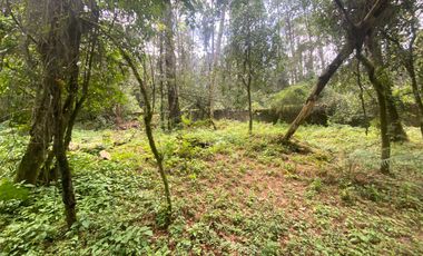 TERRENO EN VENTA CIRCUITO AVANDARO