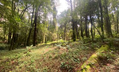TERRENO EN VENTA CIRCUITO AVANDARO